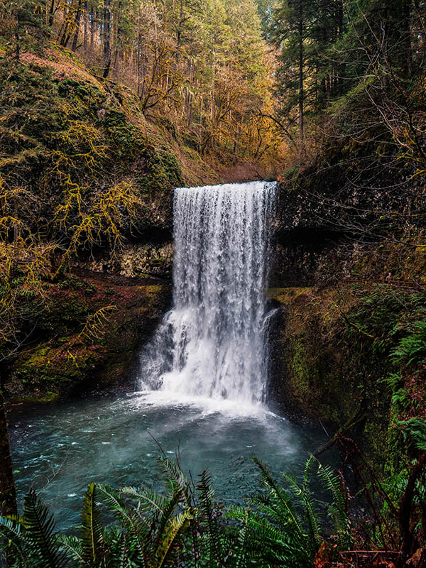 Photo of waterfall by David Kovalenko on Unsplash